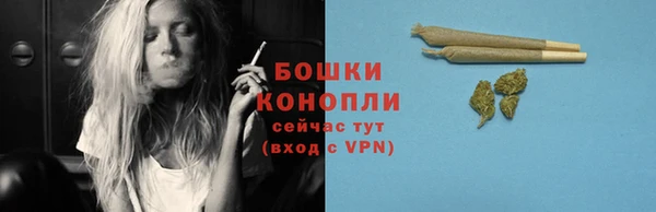трава Елизово