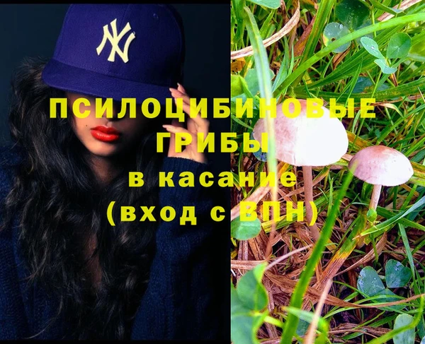 гашик Баксан